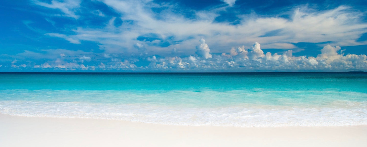 Welcome to the Fragrant Shores of Coco Moon!