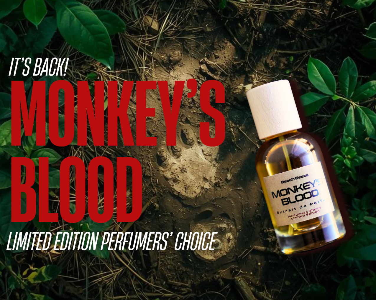 Beach Geeza Fragrances